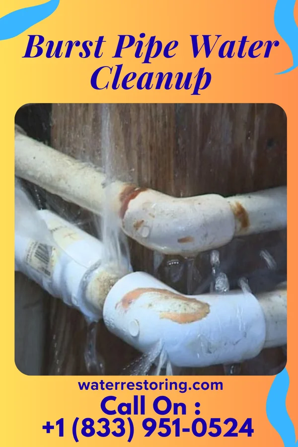 Burst Pipe Water Cleanup in Cabery, IL
